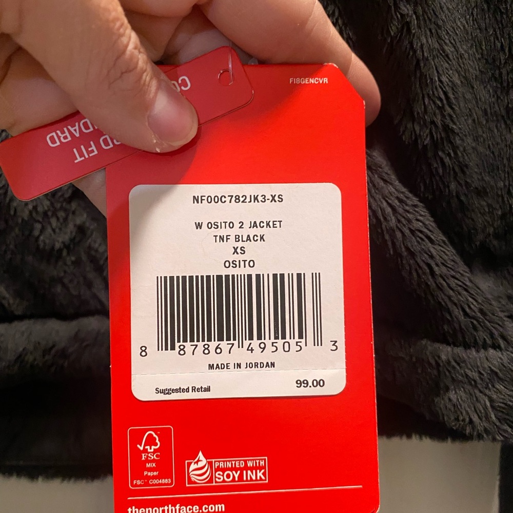 Northface Osito 2 Fleece